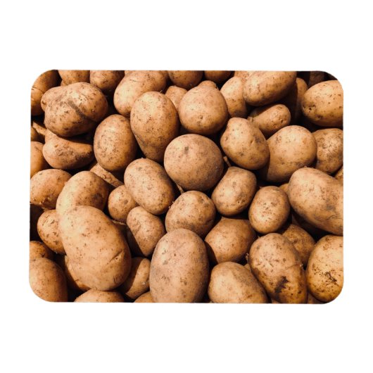 Aardappel Magneet (Horizontaal)