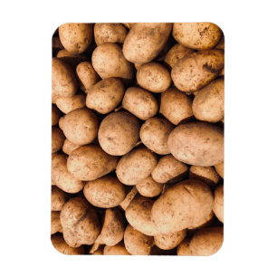 Aardappel Magneet