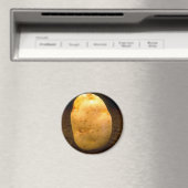 Aardappel op vuil magneet (Insitu (Vaatwasser))