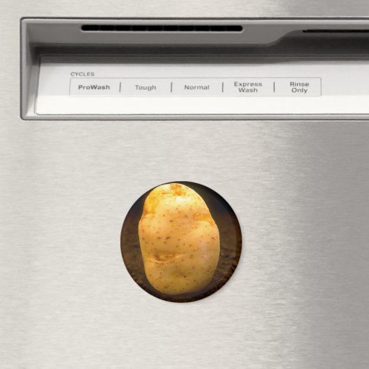 Aardappel op vuil magneet (Insitu (Vaatwasser))
