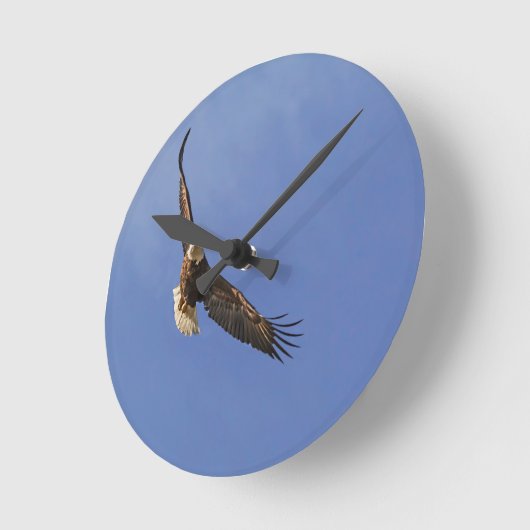 Aardappel Ronde Klok (Hoek)