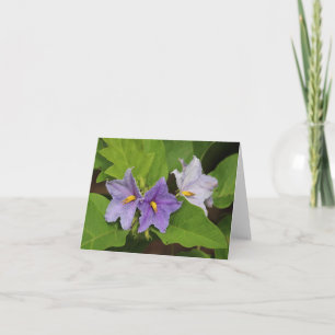 Aardappelbloem Foto blanco gevouwen notitieboekje  Notitiekaartje