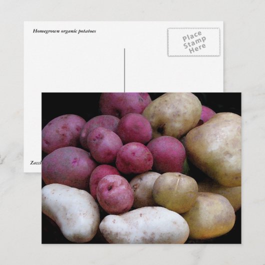 AardappelBriefkaart Briefkaart (Voorkant / Achterkant)