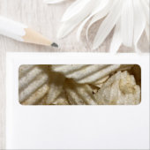 Aardappelchips Etiket (Insitu)