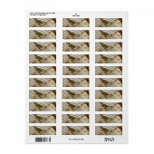 Aardappelchips Etiket (Full Sheet)