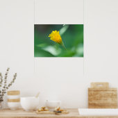 Aardappelduivel in het Dawn Poster (Keuken)