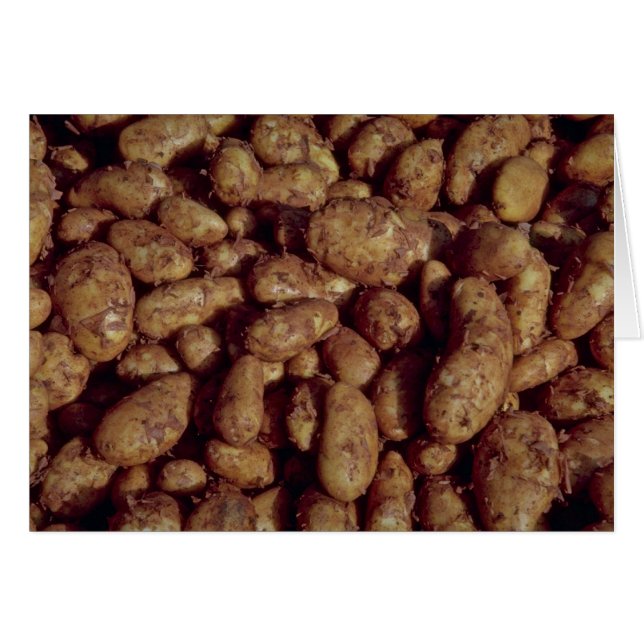 Aardappelen (Voorkant Horizontaal)