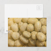 Aardappelen Briefkaart (Voorkant / Achterkant)