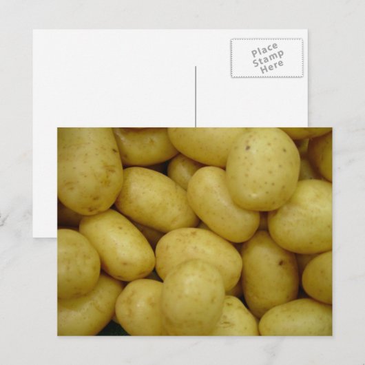 Aardappelen Briefkaart (Voorkant / Achterkant)