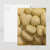 Aardappelen Briefkaart (Voorkant / Achterkant)