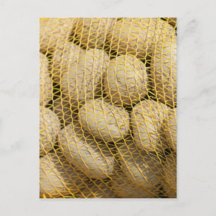 Aardappelen Briefkaart