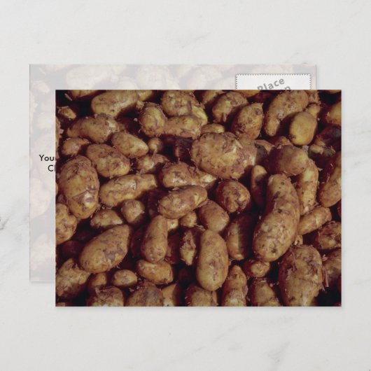 Aardappelen Briefkaart (Voorkant / Achterkant)