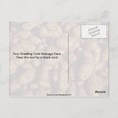 Aardappelen Briefkaart (Achterkant)