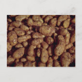 Aardappelen Briefkaart (Voorkant)