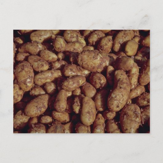 Aardappelen Briefkaart (Voorkant)