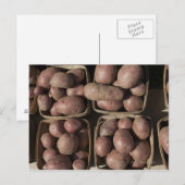 Aardappelen op de markt van een landbouwer uit New Briefkaart (Voorkant / Achterkant)