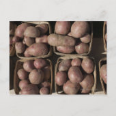 Aardappelen op de markt van een landbouwer uit New Briefkaart (Voorkant)