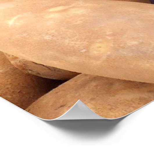 Aardappelen Poster (Hoek)