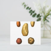  aardappelflessen briefkaart (Staand voorkant)