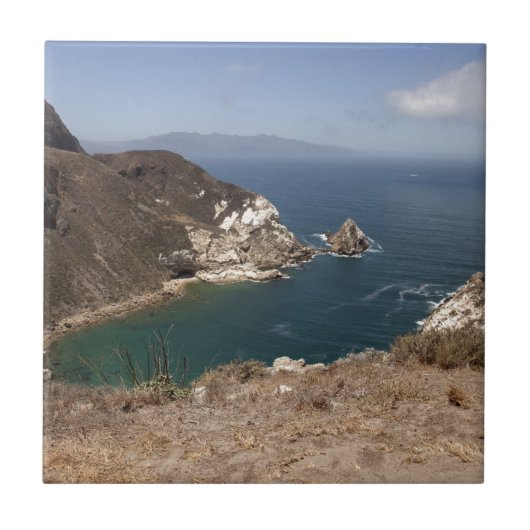 aardappelhaven tegeltje (Voorkant)