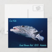Aardappelkabeljauw op het Briefkaart van de kabelj (Voorkant / Achterkant)