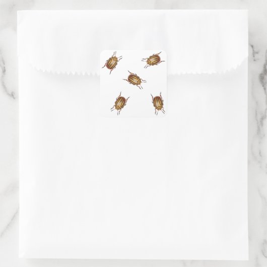 Aardappelkevers Vierkante Sticker (Tas)