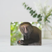 Aardappelmot Briefkaart (Staand voorkant)