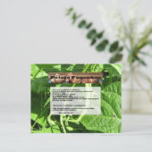 Aardappelpannenkoeken Briefkaart (Staand voorkant)