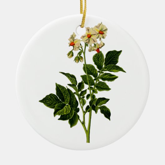 Aardappelplant Keramisch Ornament (Voorkant)