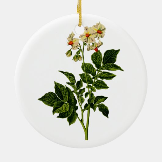 Aardappelplant Keramisch Ornament (Achterkant)