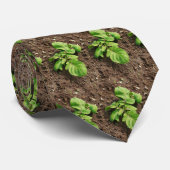 Aardappelplant Stropdas (Opgerold)