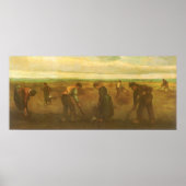 Aardappelplanten door Vincent van Gogh,  kunst Poster (Voorkant)