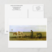 Aardappelplanten, Vincent van Gogh Fine Art Briefkaart (Voorkant / Achterkant)