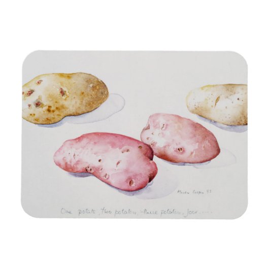 aardappelstudie 1993 magneet (Horizontaal)