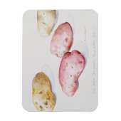 aardappelstudie 1993 magneet (Verticaal)
