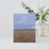 Aardappelveld Briefkaart (Staand voorkant)