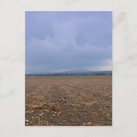 Aardappelveld Briefkaart (Voorkant)