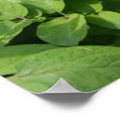 Aardappelveld Poster (Hoek)