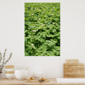 Aardappelveld Poster (Keuken)