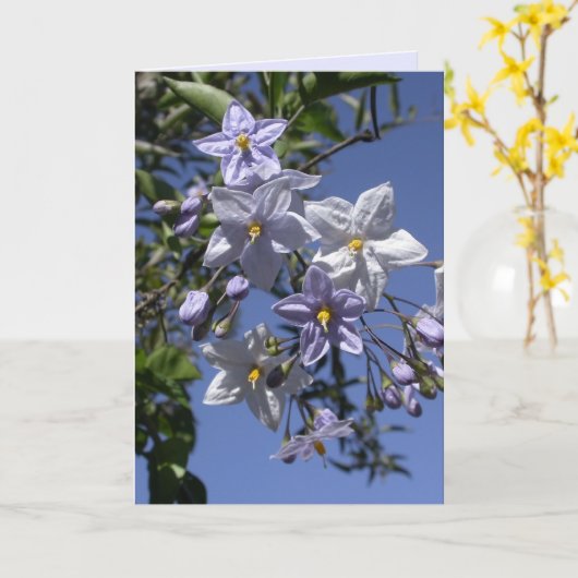 aardappelwijn kaart (Gele Bloem)