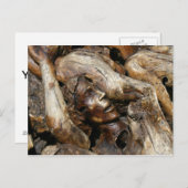 Aardappend Man dat in boomwortels is verwerkt Briefkaart (Voorkant / Achterkant)