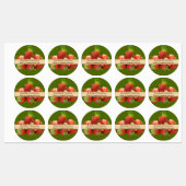 Aardbei bewaart moderne cirkel voedsellabel labels (Vel)