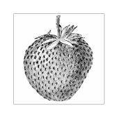 aardbei botanisch rubberstempel (Afrduk)