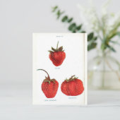  aardbei — Botanische afdrukken Briefkaart (Staand voorkant)