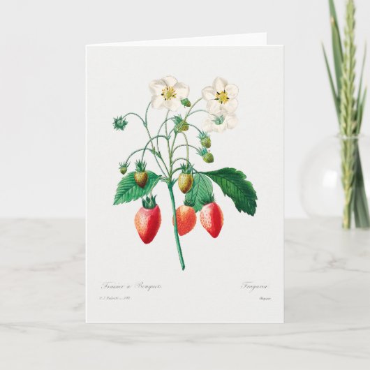 Aardbei botanische print kaart (Voorkant)