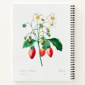 Aardbei botanische print notitieboek (Achterkant)