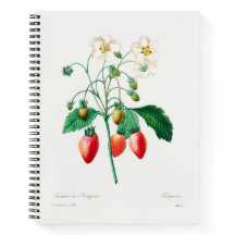 Aardbei botanische print