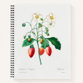 Aardbei botanische print notitieboek
