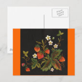 Aardbei Briefkaart (Voorkant / Achterkant)