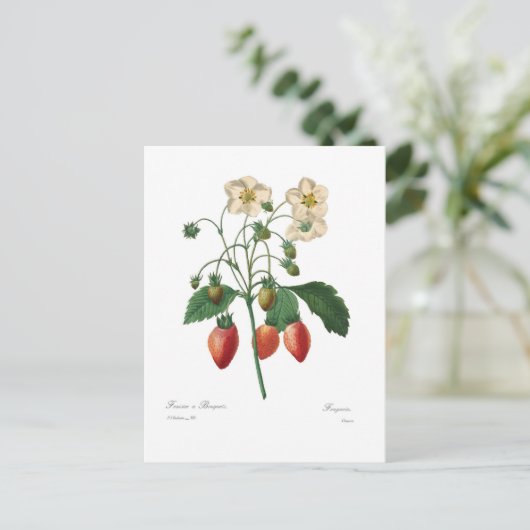 Aardbei Briefkaart (Staand voorkant)